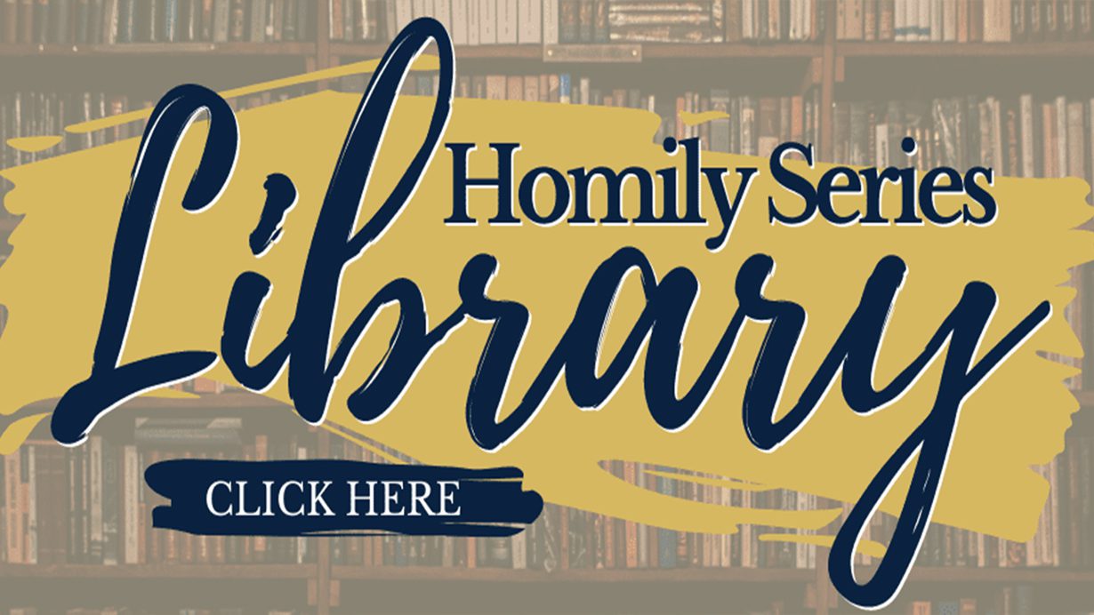 St John the Evangelist Homily Series Library