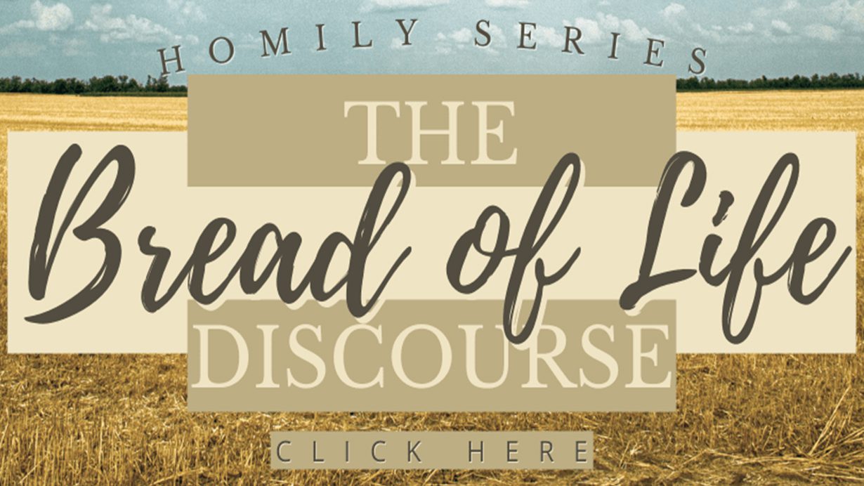 the Bread of Life Discourse St John the Evangelist Catholic Church Jackson MI