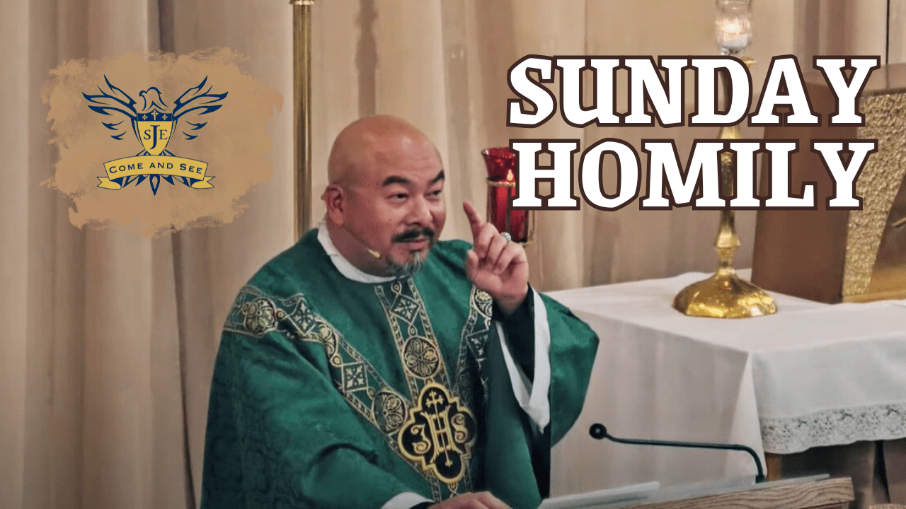 Homily Short, 23rd Sunday Ordinary Time