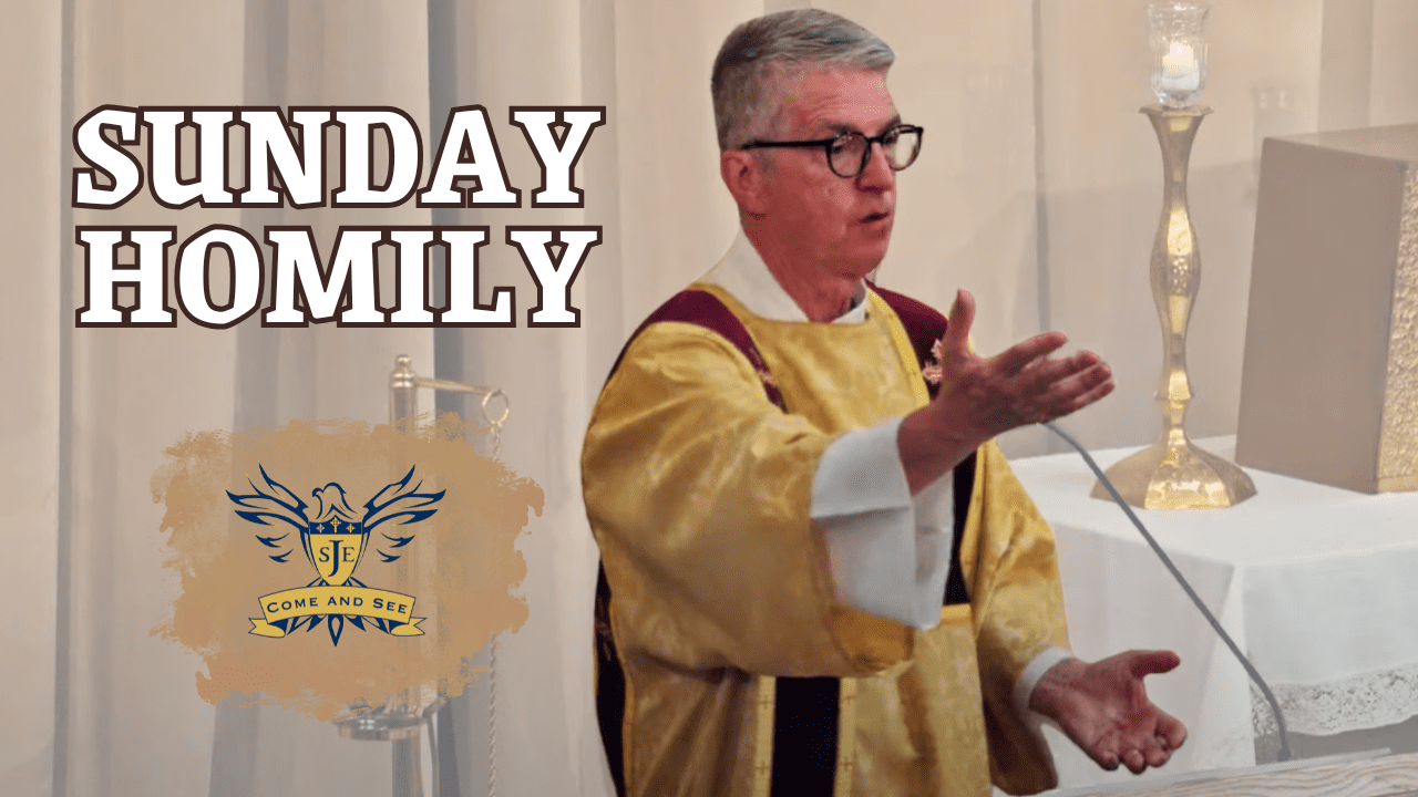 Homily Short, 27th Sunday Ordinary Time