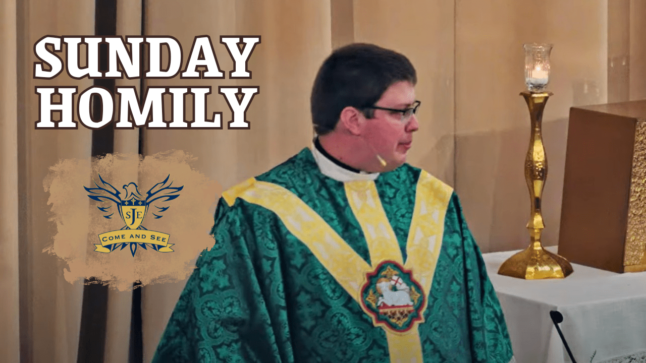 Homily Short, 22nd Sunday Ordinary Time
