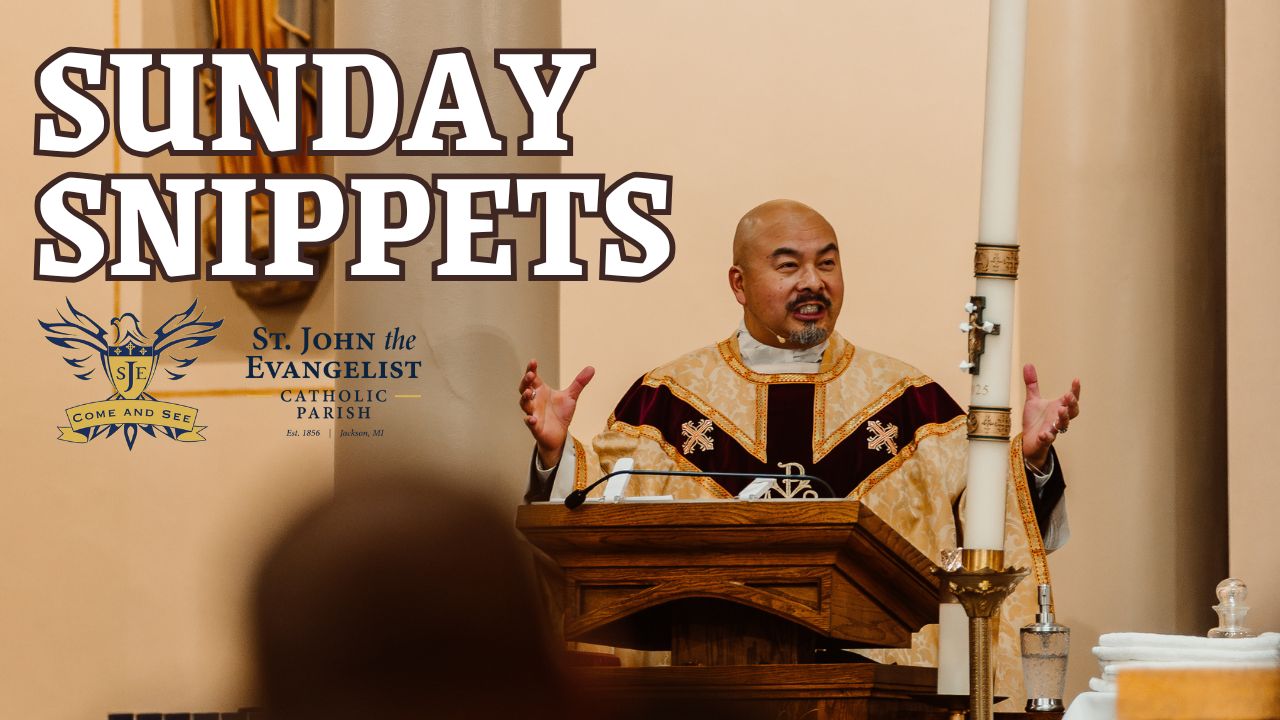 Homily Short, Dedication to the Lateran Basilica in Rome