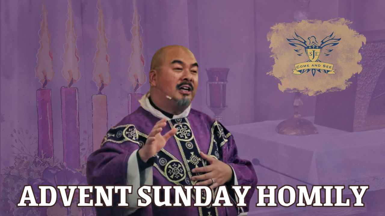 Homily, Second Sunday in Advent, 12/07/2025