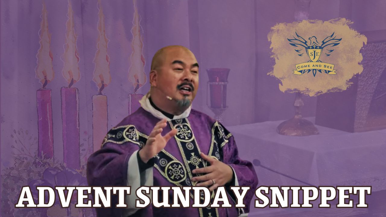 Homily Short, Second Sunday in Advent
