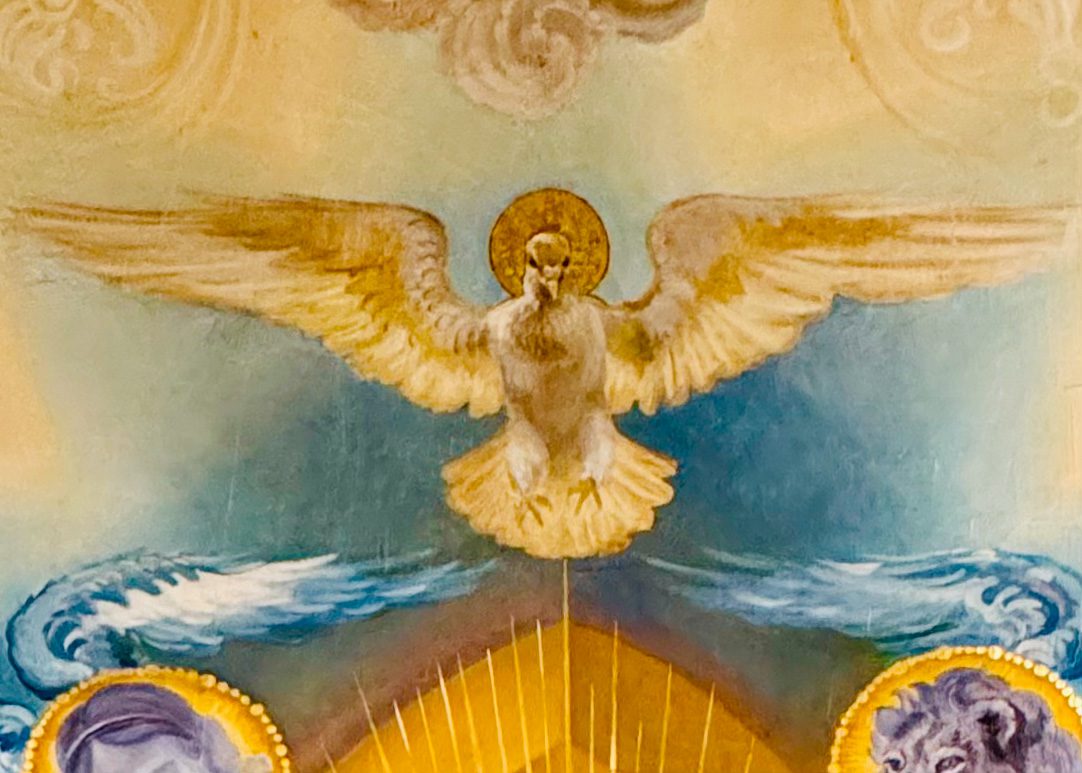 Homily Short, Third Sunday in Advent, Gaudete Sunday