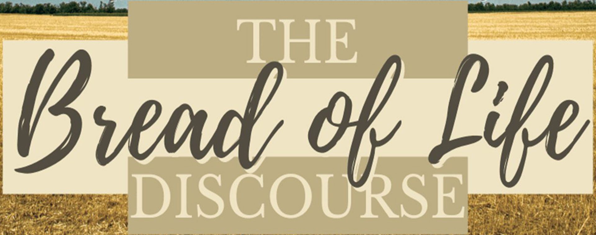 Homily Series the Bread of Life Discourse - St John the Evangelist Catholic Church Jackson Michigan