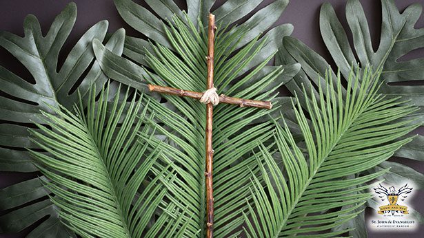 Bulletin Article 0222 2026 - St John the Evangelist Catholic Church Jackson Michigan