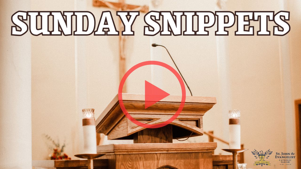 Homily Short, 4th Sunday Ordinary Time, Feb 01 2026