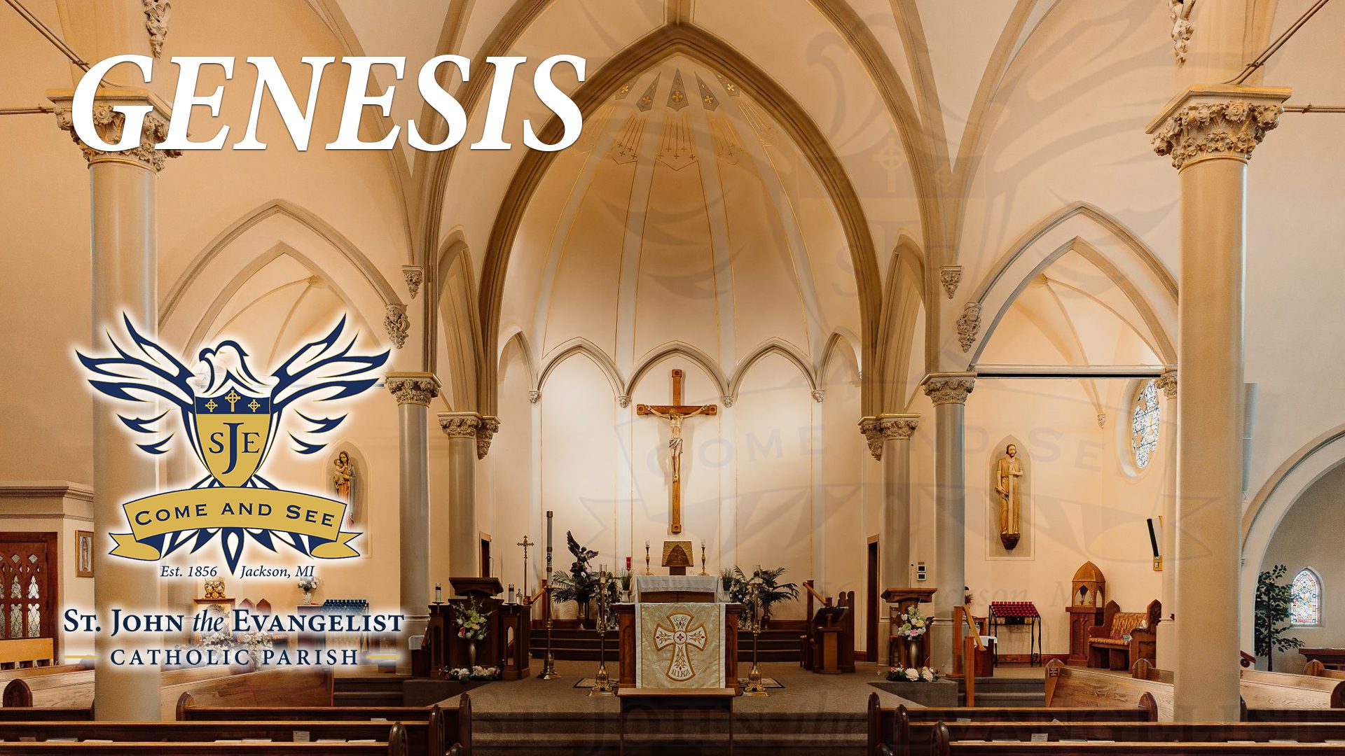 the Book of Genesis Bible Study - St John the Evangelist Catholic Church Jackson Michigan