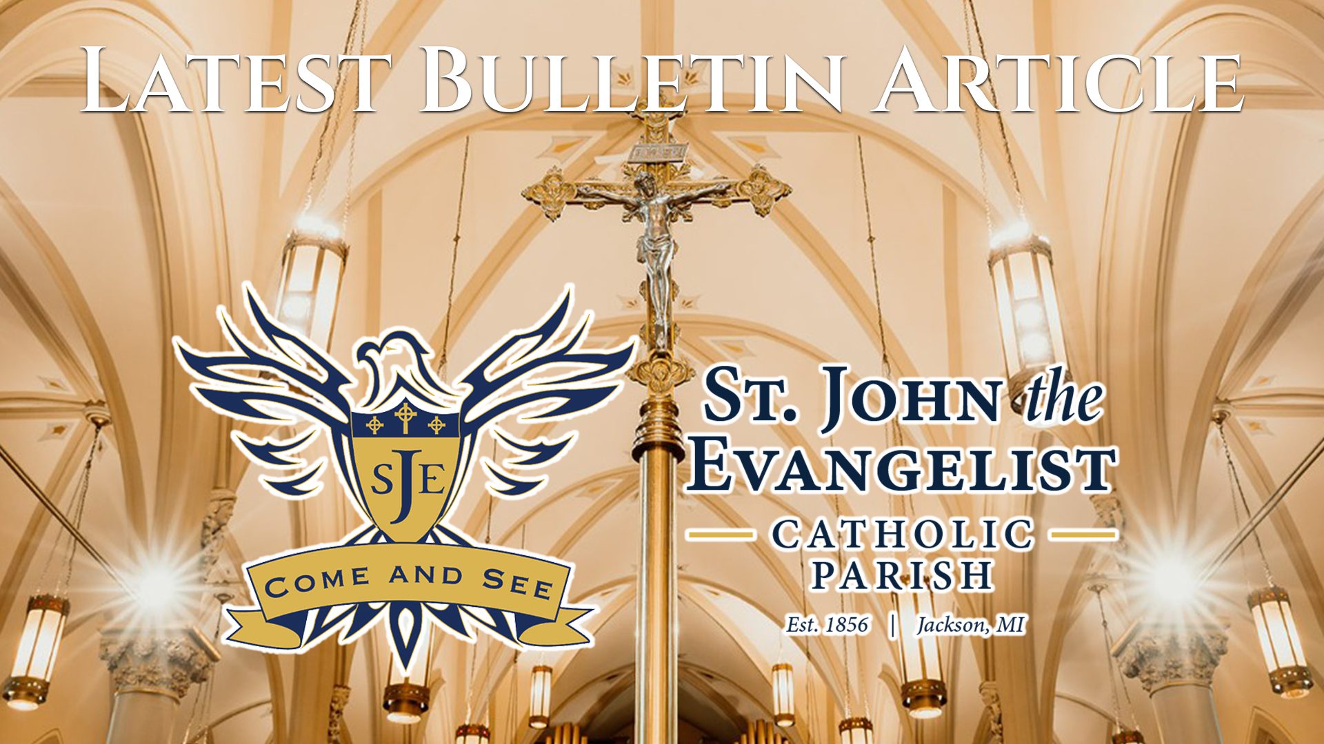 These Pretzels Are Making Me Thirsty, Bulletin Article March 5, 2026