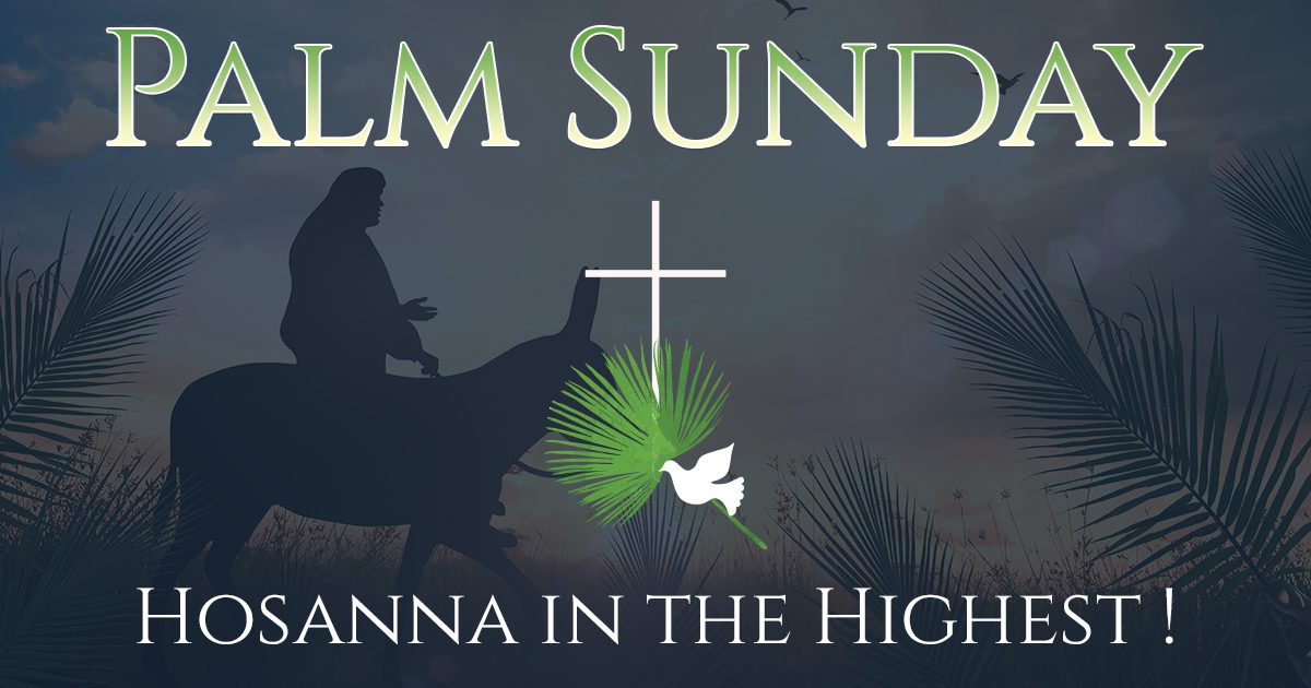 Homily Short, Palm Sunday, March 29, 2026
