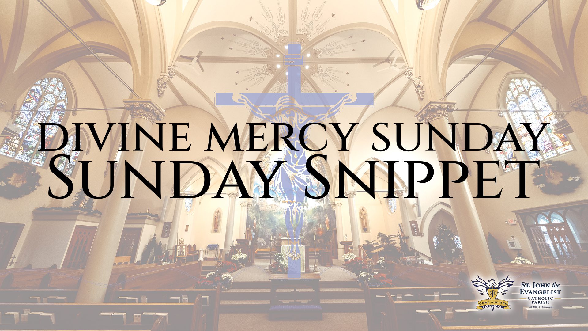Homily Short, Divine Mercy Sunday, April 12, 2026