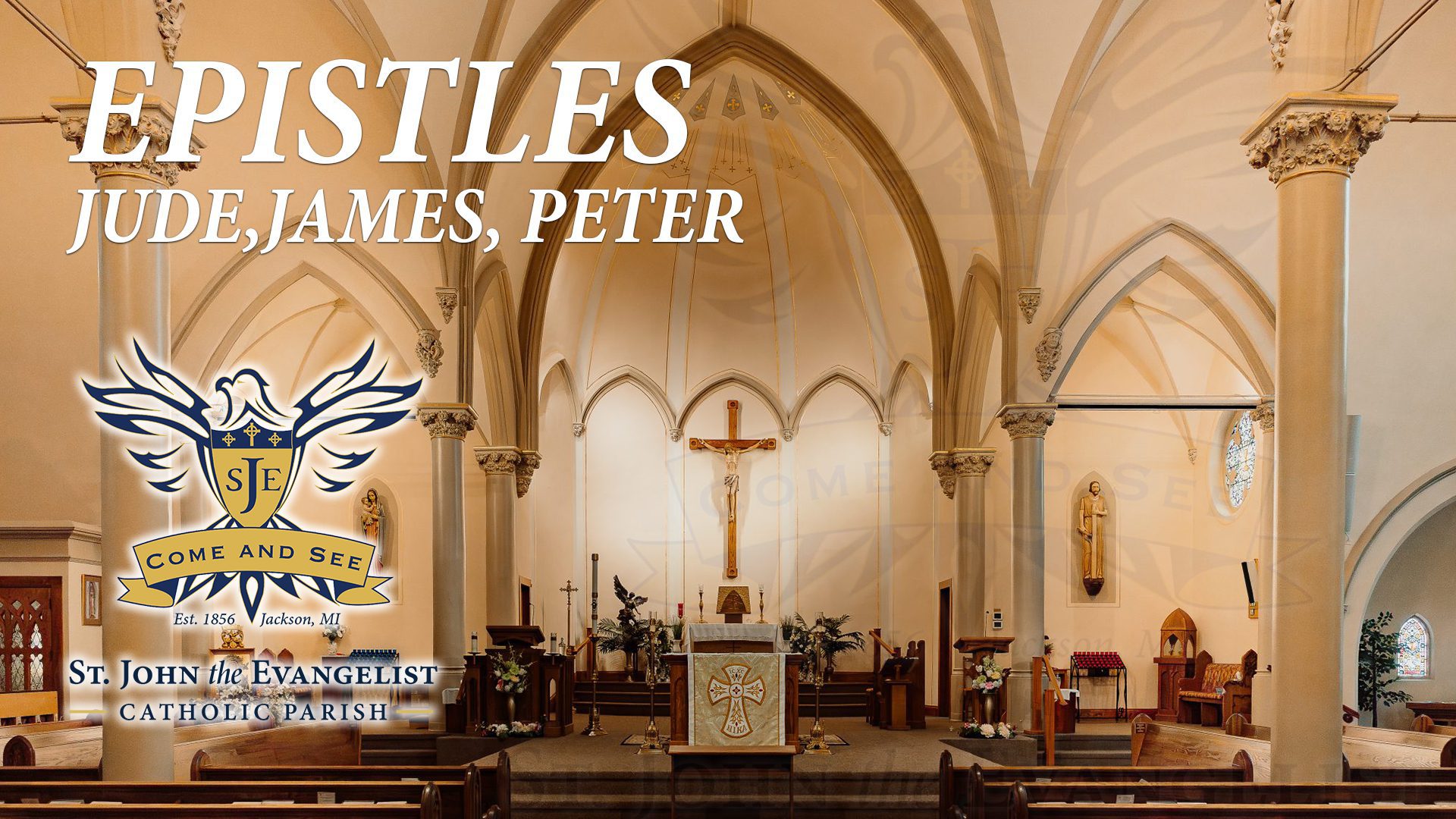 Bible Study: the Epistles of James, Peter, Jude | St. John the Evangelist Catholic Church, Jackson, Michigan