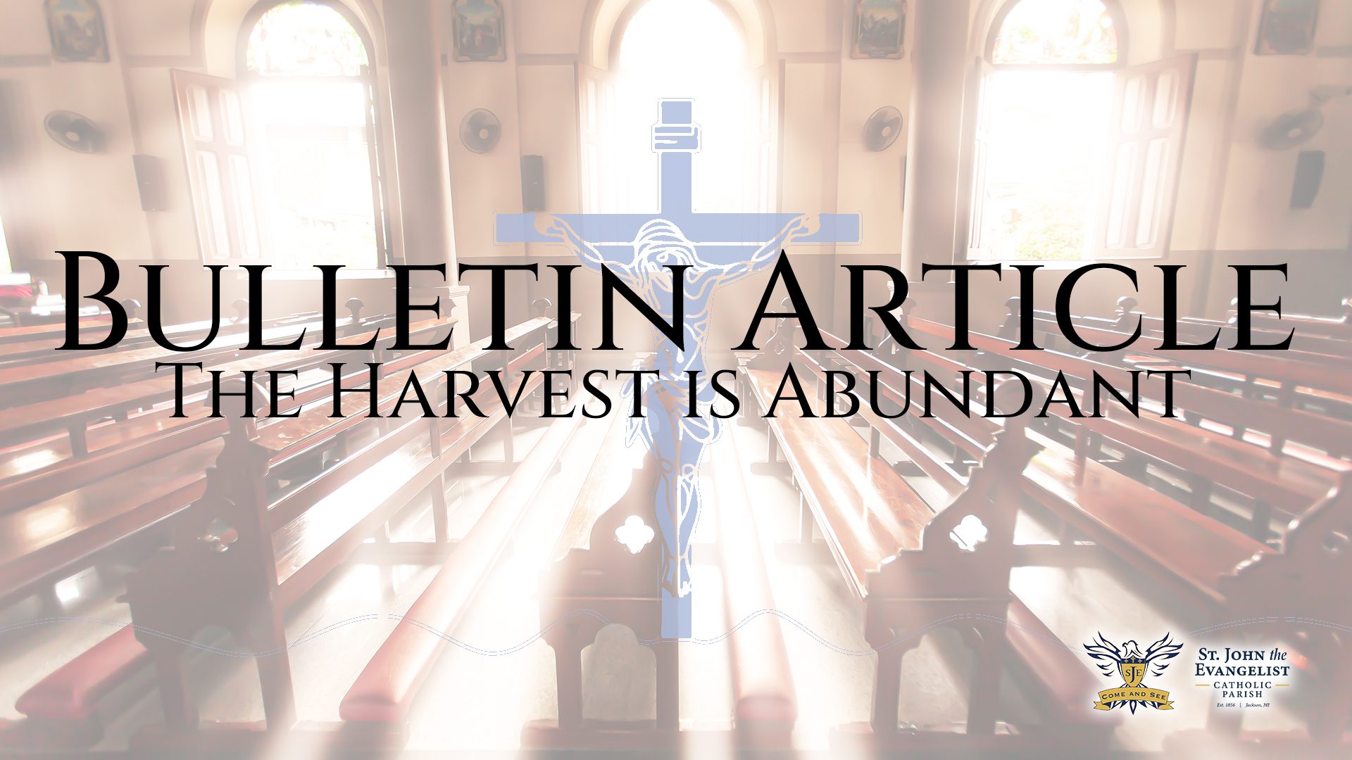 Bulletin Article, The Harvest Is Abundant – June 11, 2026